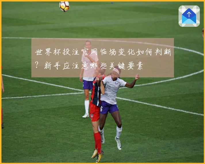 世界杯投注官网临场变化如何判断？新手应注意哪些关键要素