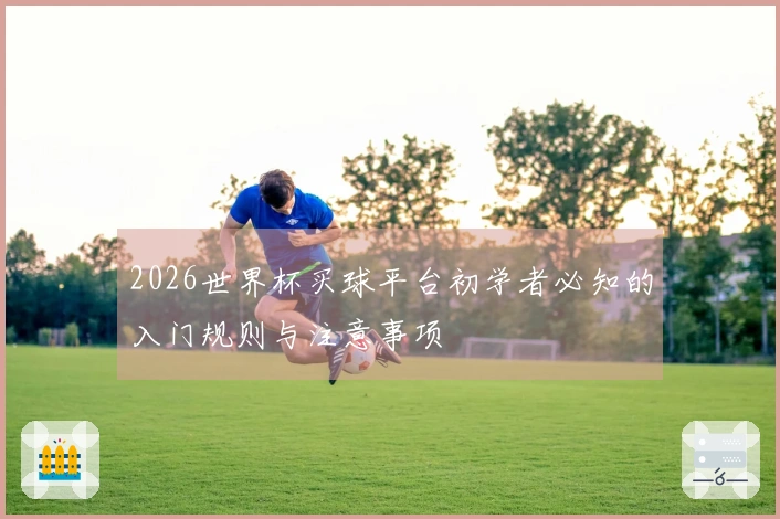 2026世界杯买球平台初学者必知的入门规则与注意事项