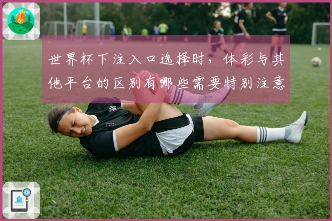 世界杯下注入口选择时，体彩与其他平台的区别有哪些需要特别注意的？
