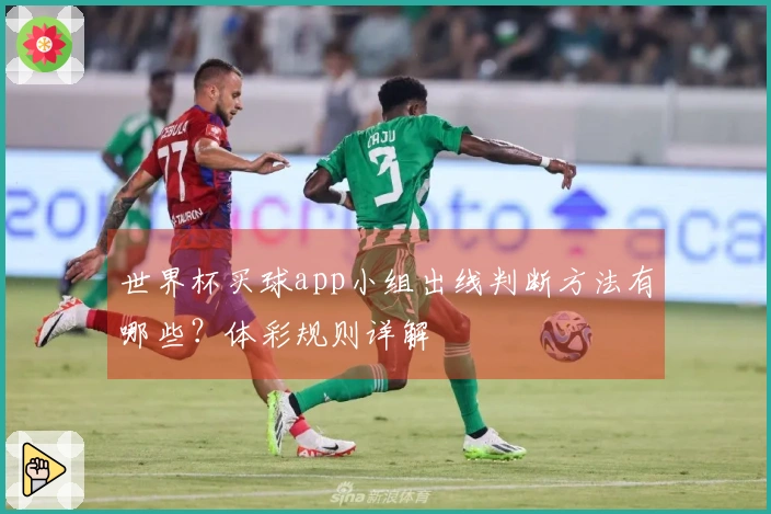 世界杯买球app小组出线判断方法有哪些？体彩规则详解