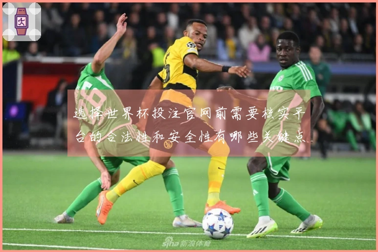 选择世界杯投注官网前需要核实平台的合法性和安全性有哪些关键点