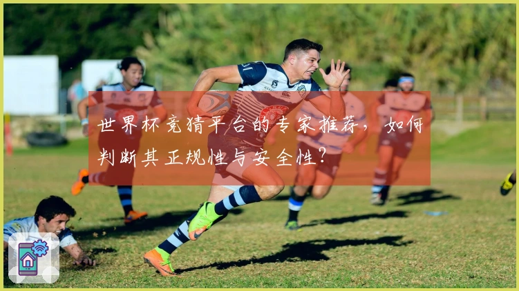 世界杯竞猜平台的专家推荐，如何判断其正规性与安全性？
