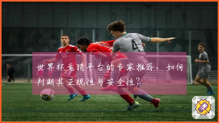 世界杯竞猜平台的专家推荐，如何判断其正规性与安全性？