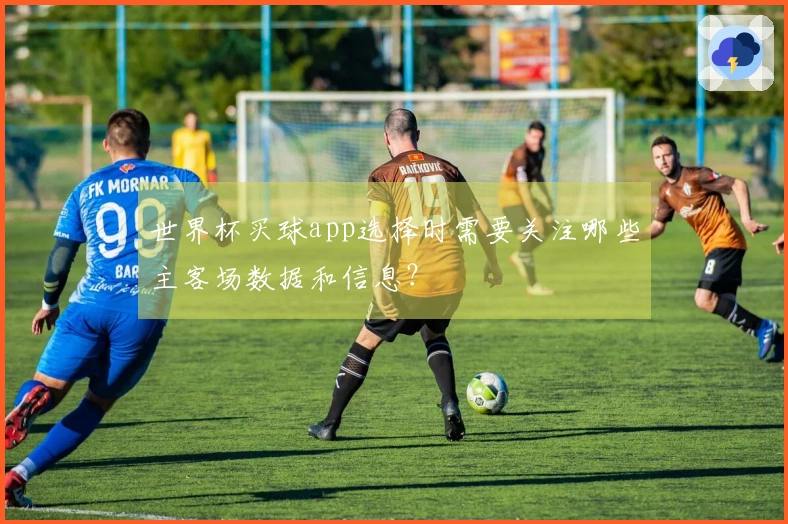 世界杯买球app选择时需要关注哪些主客场数据和信息？
