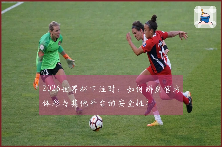 2026世界杯下注时，如何辨别官方体彩与其他平台的安全性？