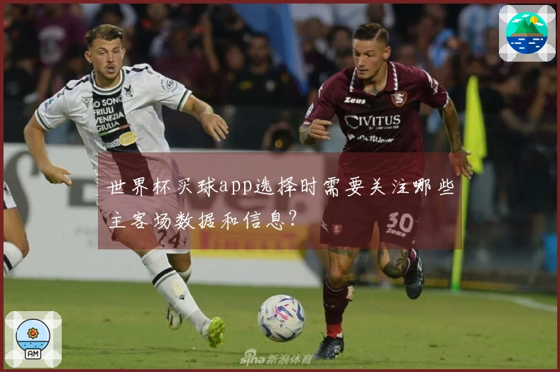 世界杯买球app选择时需要关注哪些主客场数据和信息？