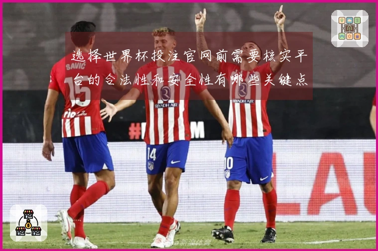 选择世界杯投注官网前需要核实平台的合法性和安全性有哪些关键点
