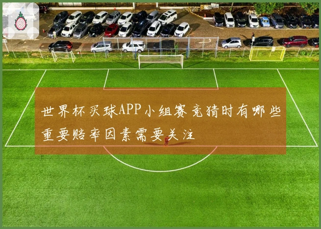 世界杯买球APP小组赛竞猜时有哪些重要赔率因素需要关注