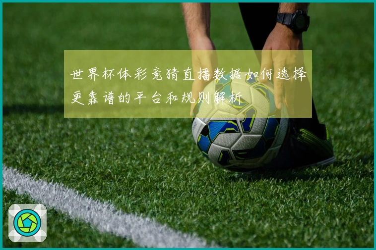 世界杯体彩竞猜直播数据如何选择更靠谱的平台和规则解析