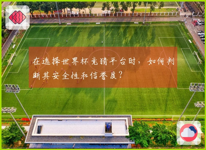 在选择世界杯竞猜平台时，如何判断其安全性和信誉度？