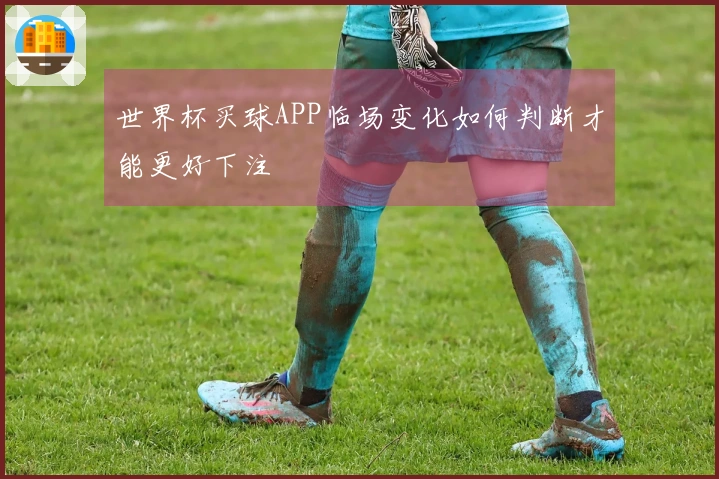 世界杯买球APP临场变化如何判断才能更好下注