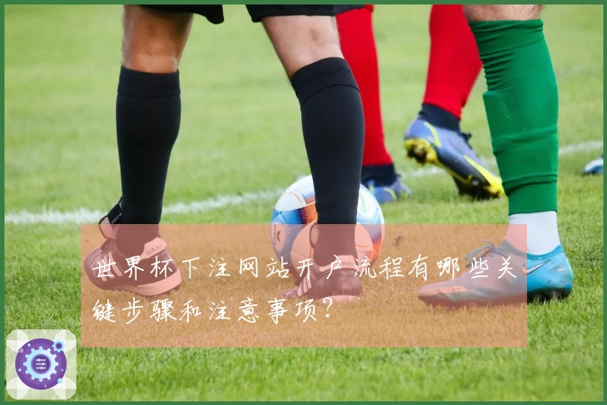 世界杯下注网站开户流程有哪些关键步骤和注意事项？