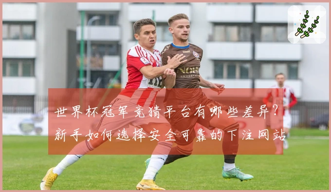 世界杯冠军竞猜平台有哪些差异？新手如何选择安全可靠的下注网站