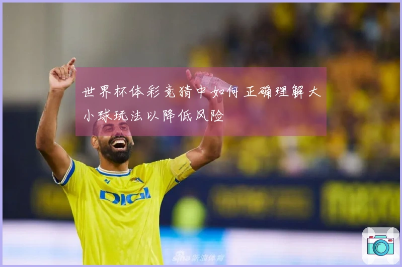 世界杯体彩竞猜中如何正确理解大小球玩法以降低风险