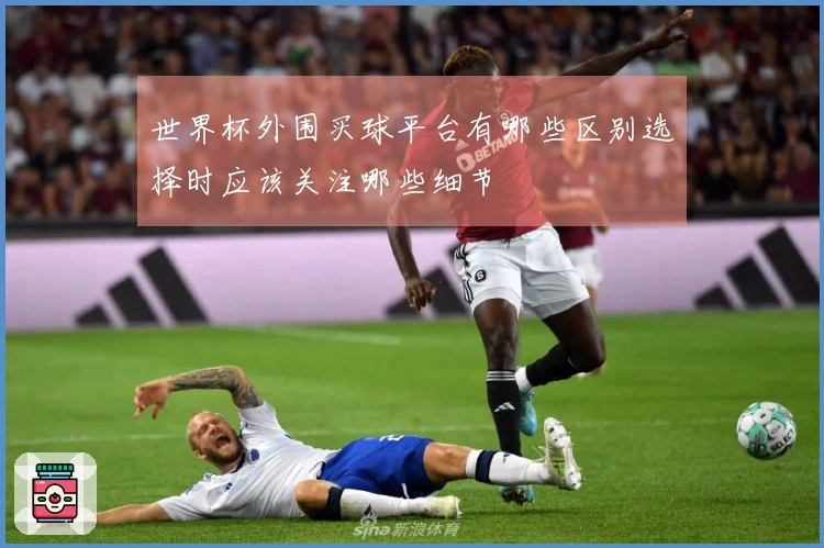 世界杯外围买球平台有哪些区别选择时应该关注哪些细节