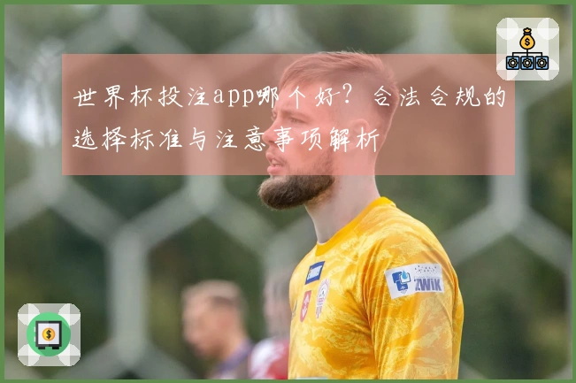世界杯投注app哪个好？合法合规的选择标准与注意事项解析