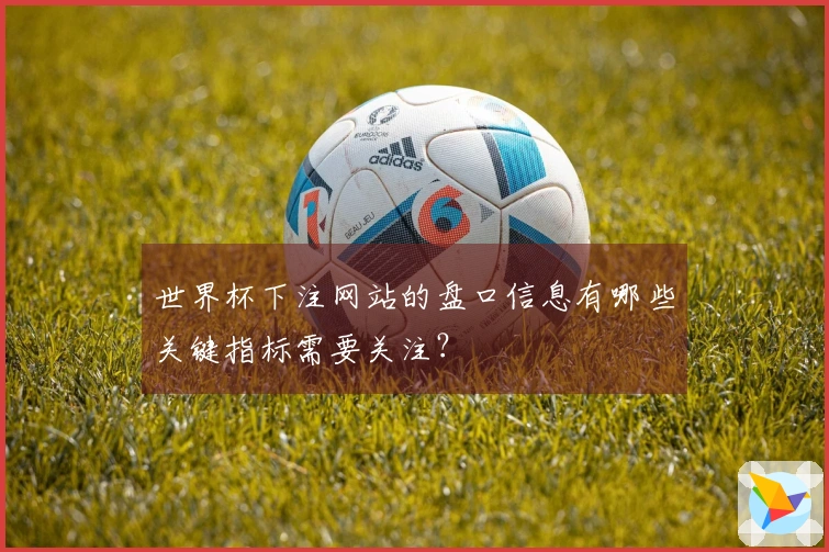 世界杯下注网站的盘口信息有哪些关键指标需要关注？
