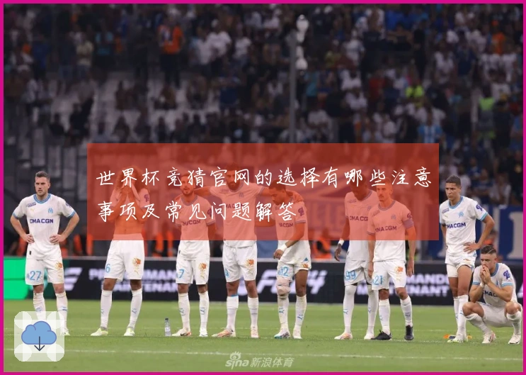 世界杯竞猜官网的选择有哪些注意事项及常见问题解答