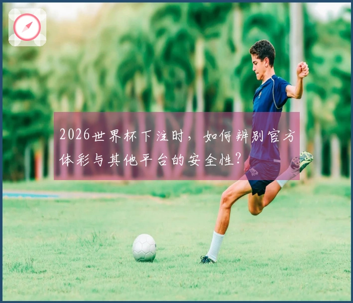 2026世界杯下注时，如何辨别官方体彩与其他平台的安全性？