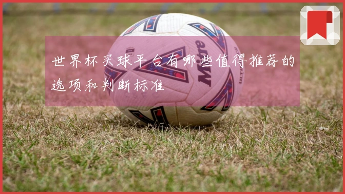 世界杯买球平台有哪些值得推荐的选项和判断标准