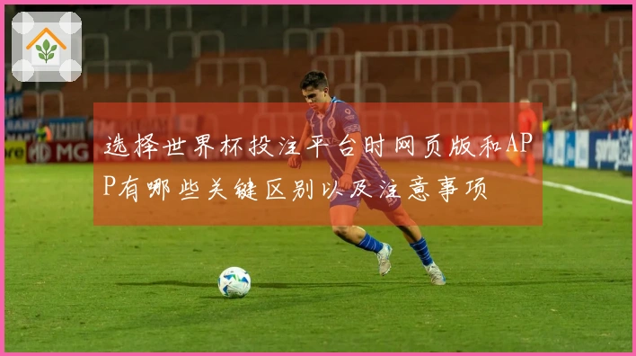 选择世界杯投注平台时网页版和APP有哪些关键区别以及注意事项