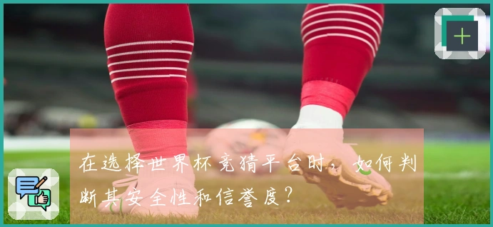 在选择世界杯竞猜平台时，如何判断其安全性和信誉度？