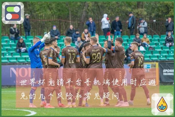 世界杯竞猜平台手机端使用时应避免的几个风险和常见疑问