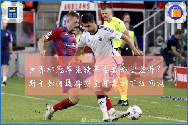 世界杯冠军竞猜平台有哪些差异？新手如何选择安全可靠的下注网站