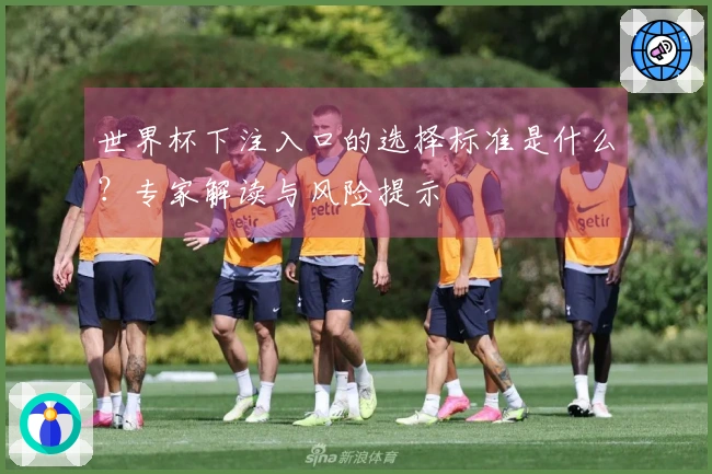 世界杯下注入口的选择标准是什么？专家解读与风险提示