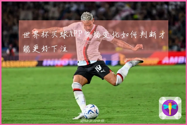 世界杯买球APP临场变化如何判断才能更好下注