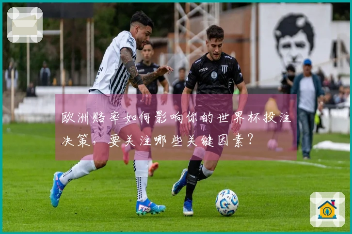 欧洲赔率如何影响你的世界杯投注决策，要关注哪些关键因素？